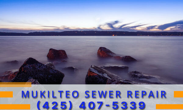 Septic-Tank-Mukilteo-WA