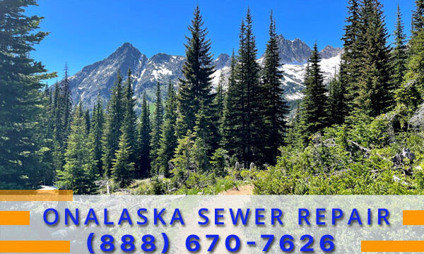 Septic-Tank-Onalaska-WA