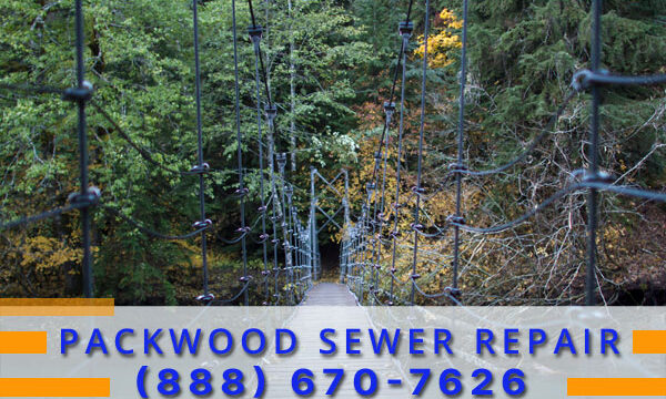 Septic-Tank-Packwood-WA