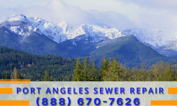 Septic-Tank-Port-Angeles-WA