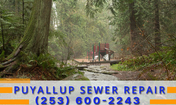 Septic-Tank-Puyallup-WA