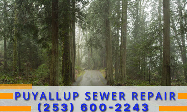 Septic-Tank-Puyallup-WA