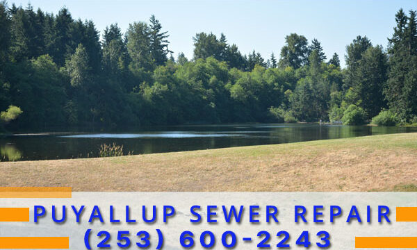 Septic-Tank-Puyallup-WA