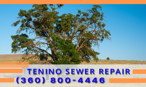 Septic-Tank-Tenino-WA