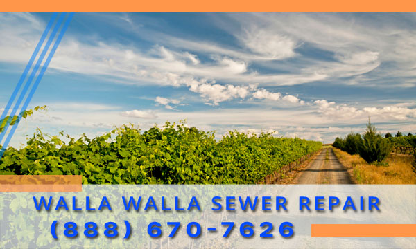 Septic-Tank-Walla-Walla-WA