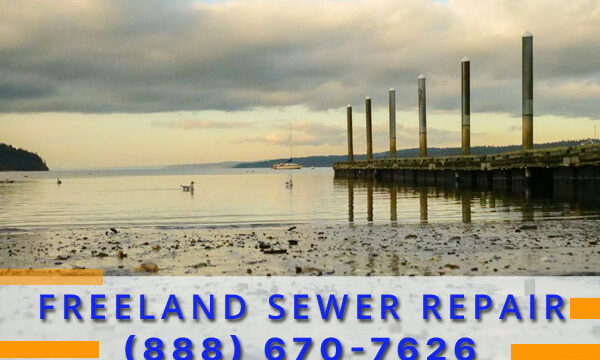 Sewer-Repair-Freeland-Wa