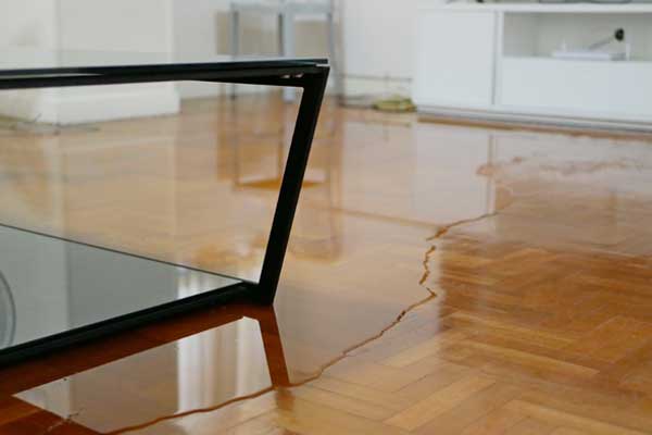 Artondale water damage repair in WA near 98335