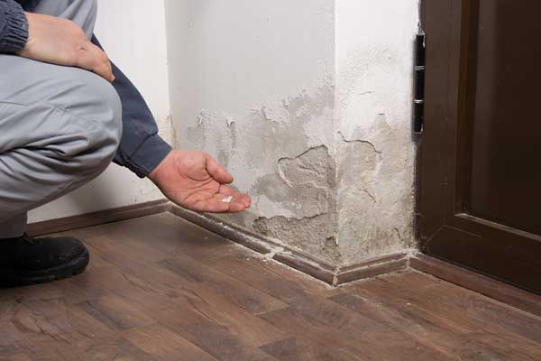 Fircrest water damage repair in WA near 98466